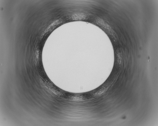 X0000085790308200704131901