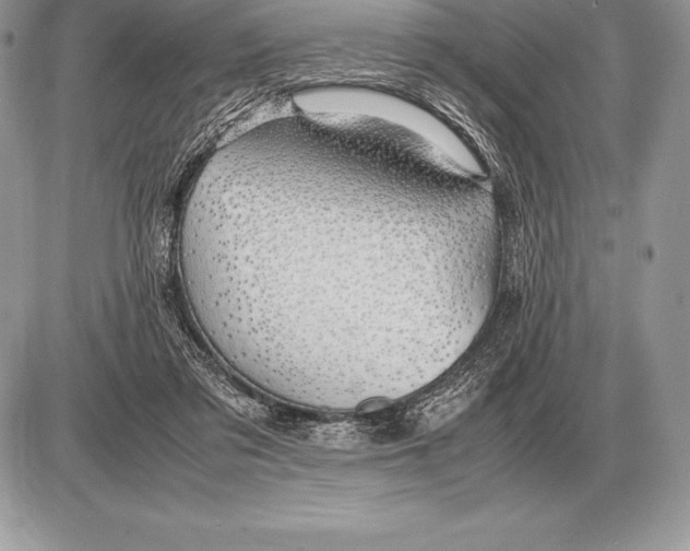 X0000085790309200704131901