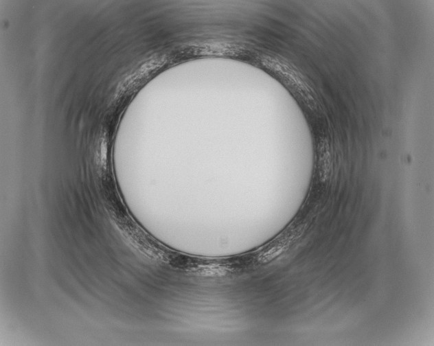 X0000085790310200704131901