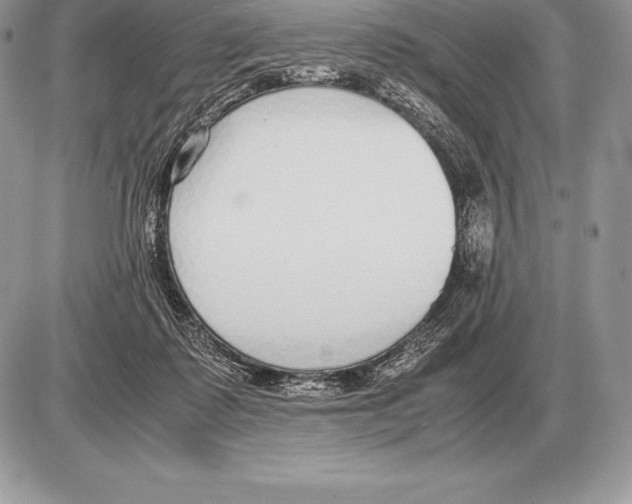 X0000085790315200704131901