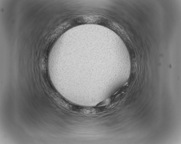 X0000085790317200704131901