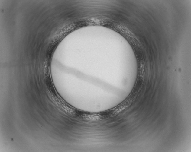 X0000085790318200704131901
