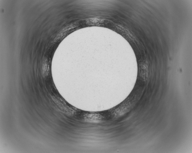X0000085790324200704131901
