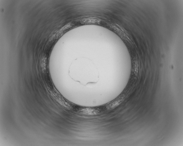 X0000085790326200704131901