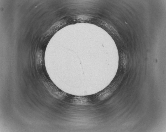 X0000085790328200704131901