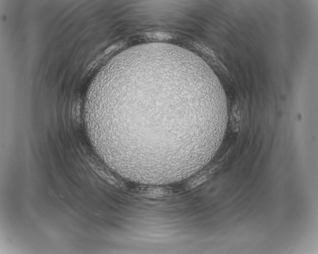 X0000085790330200704131901