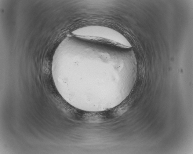 X0000085790331200704131901