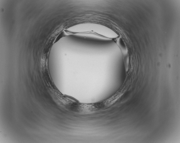 X0000085790333200704131901