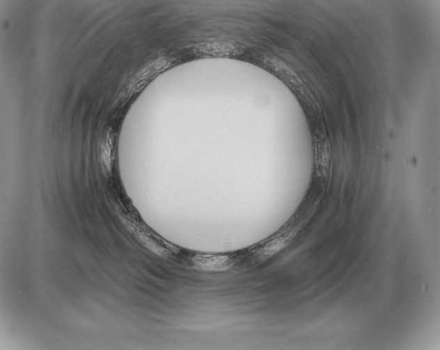 X0000085790334200704131901