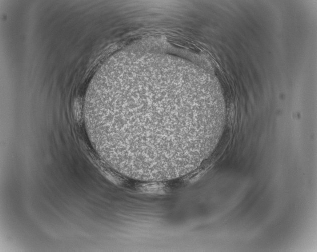 X0000085790335200704131901
