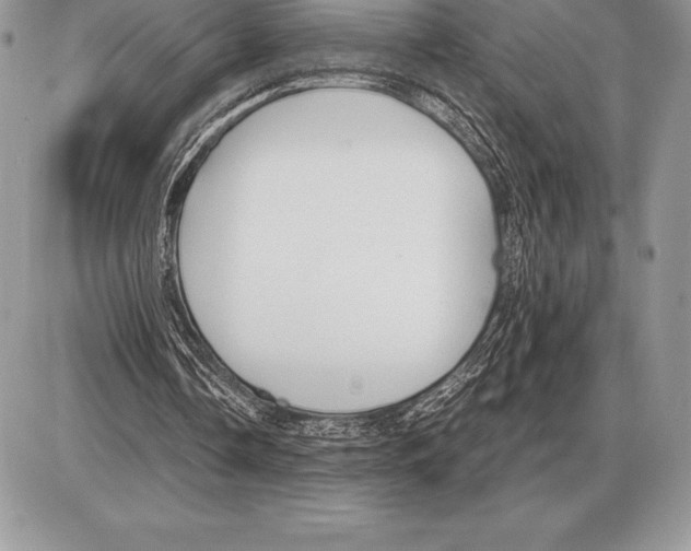 X0000085790338200704131900