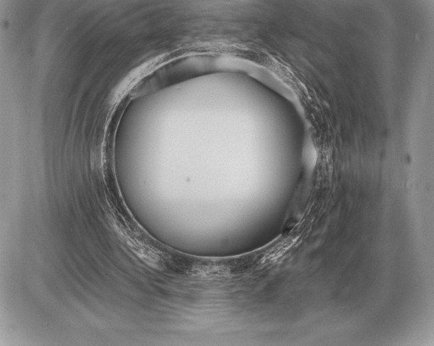 X0000085790340200704131900