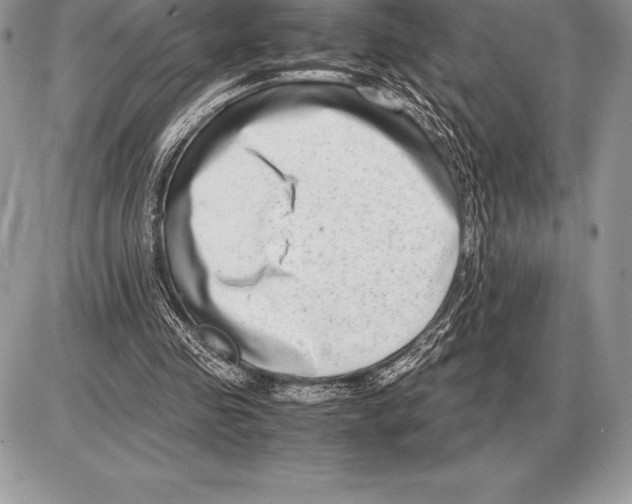 X0000085790341200704131900