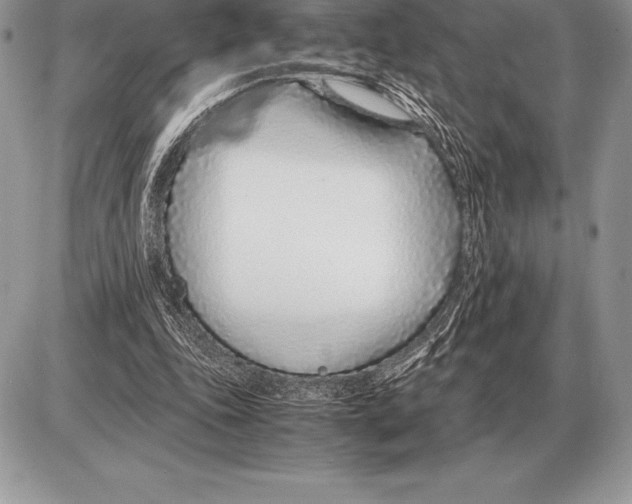 X0000085790343200704131900