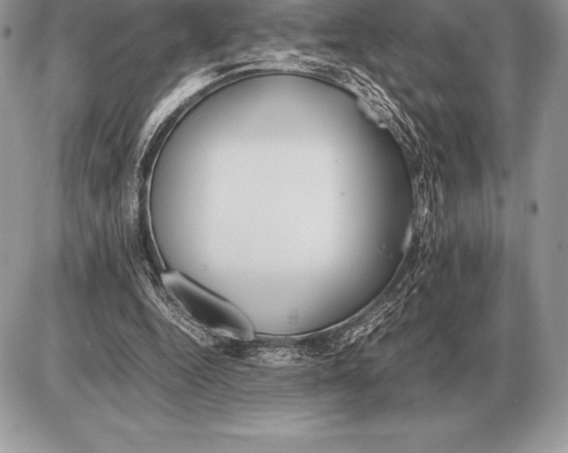 X0000085790344200704131900