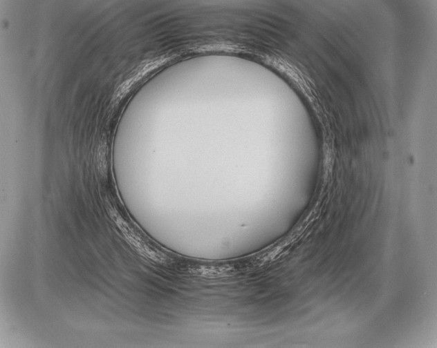 X0000085790345200704131900