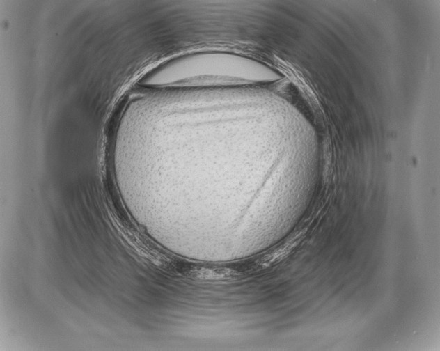 X0000085790346200704131900