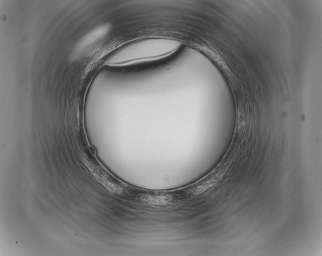 X0000085790349200704131900