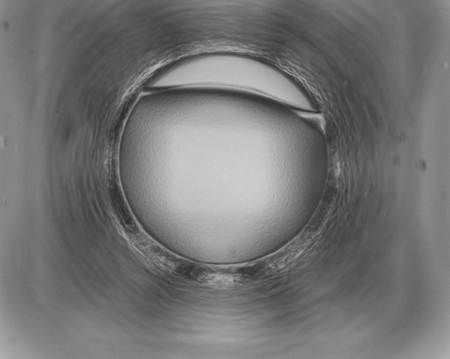 X0000085790352200704131900