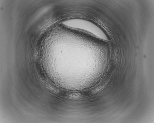 X0000085790355200704131900