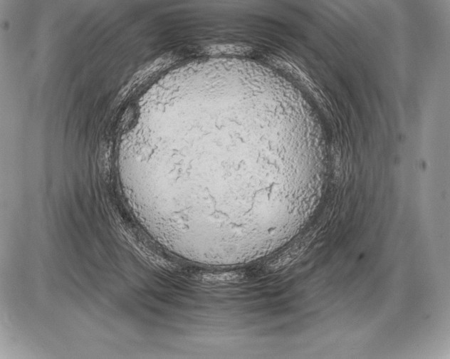 X0000085790357200704131900
