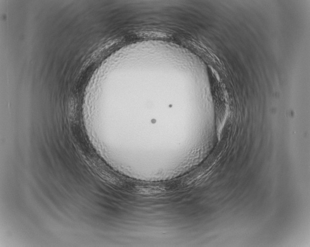 X0000085790359200704131900