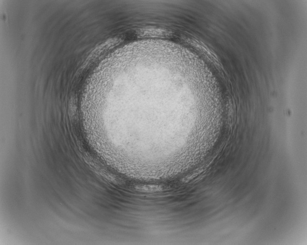 X0000085790361200704131900