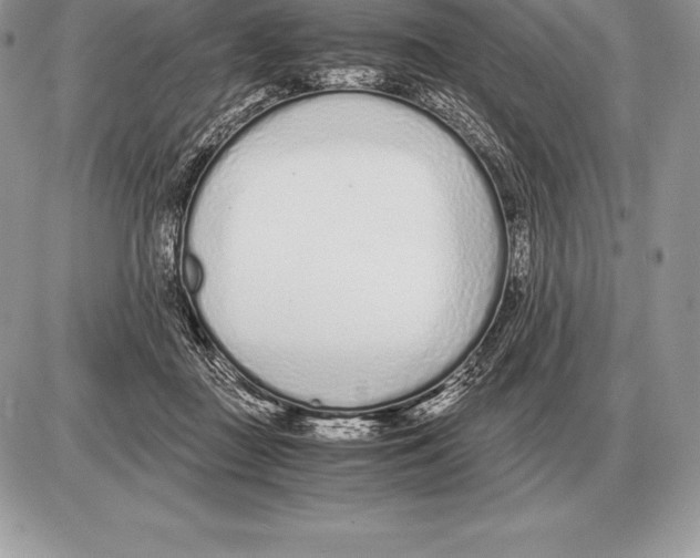 X0000085790363200704131900