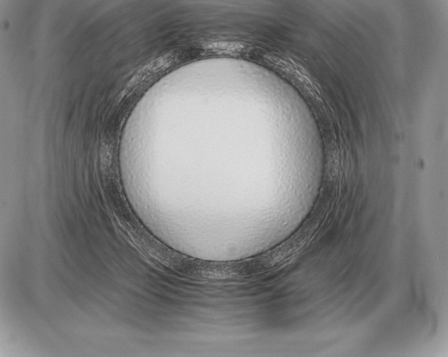 X0000085790365200704131901