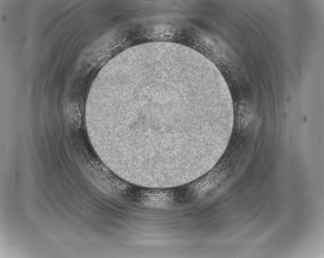 X0000085790370200704131901