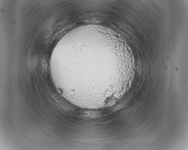 X0000085790371200704131901