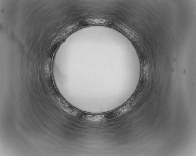 X0000085790373200704131901