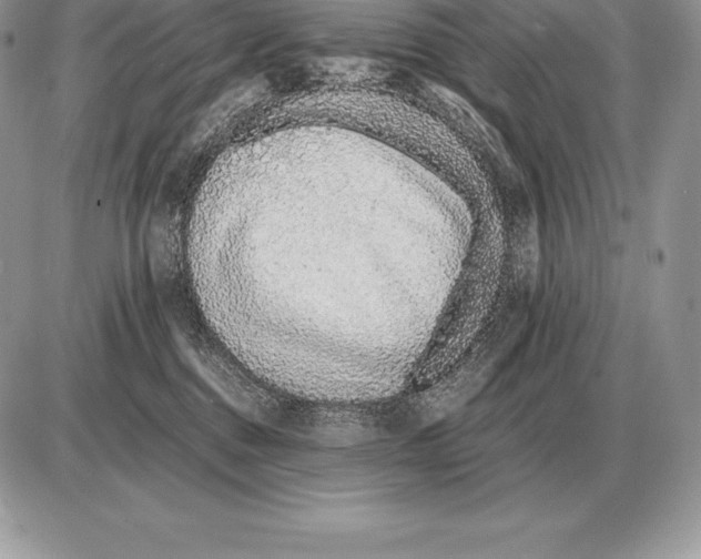 X0000085790376200704131901