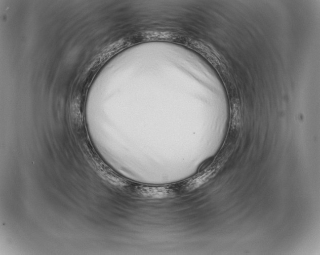 X0000085790377200704131901