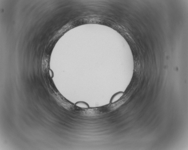 X0000085790382200704131901