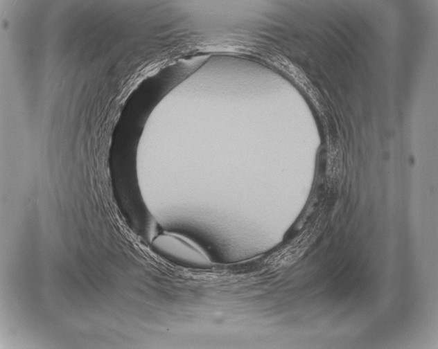 X0000085790385200704131900