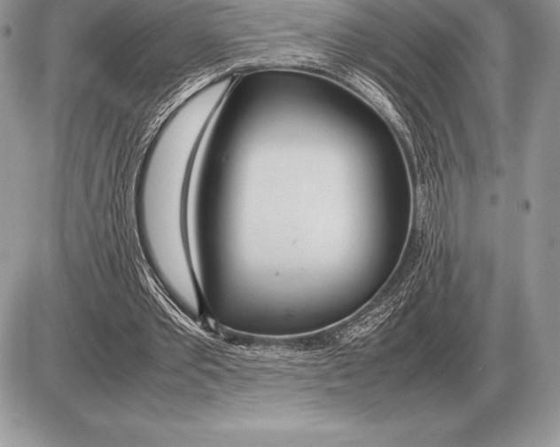 X0000085790389200704131900