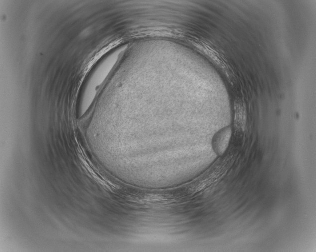 X0000085790390200704131900