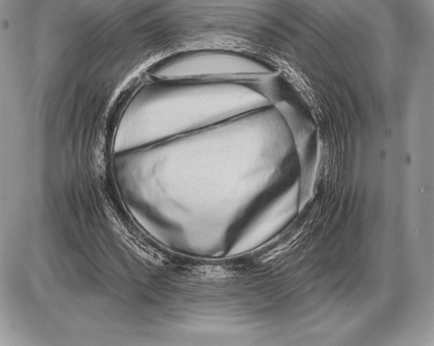 X0000085790392200704131900