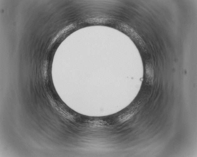 X0000085790396200704131900