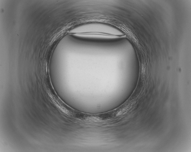 X0000085790397200704131900