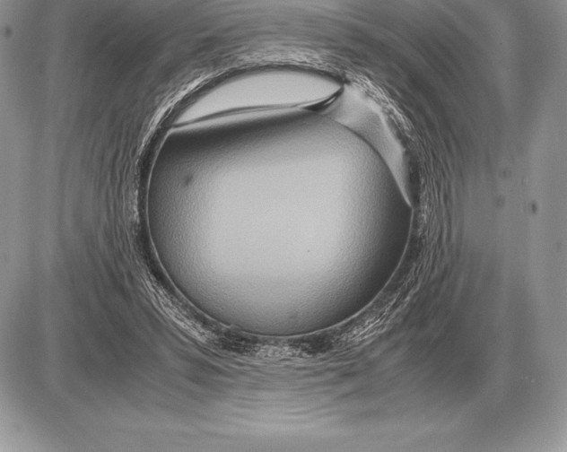 X0000085790399200704131900