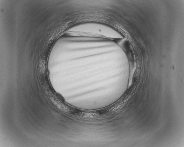 X0000085790401200704131900
