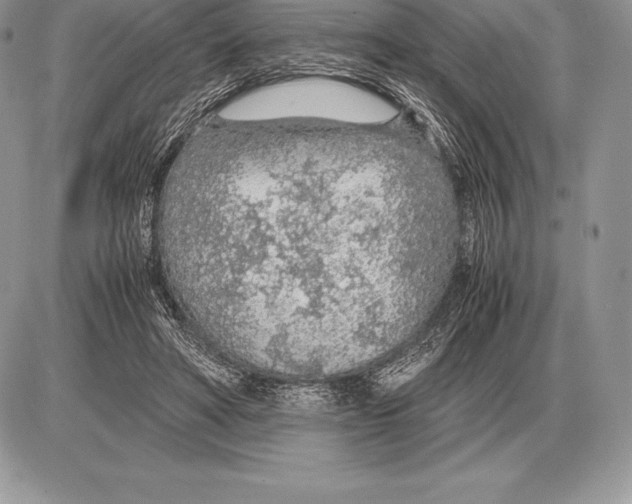 X0000085790402200704131900