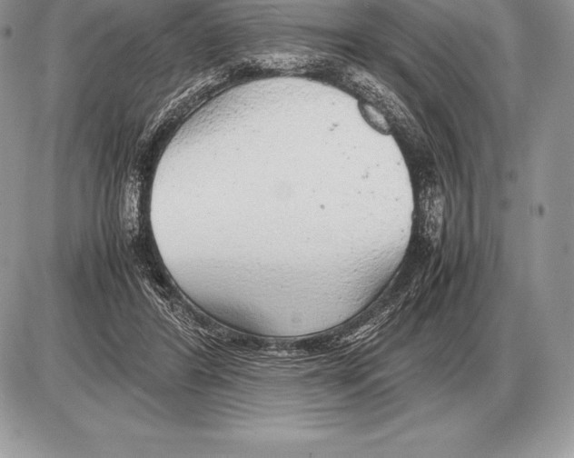 X0000085790404200704131900