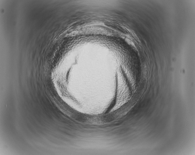 X0000085790409200704131900