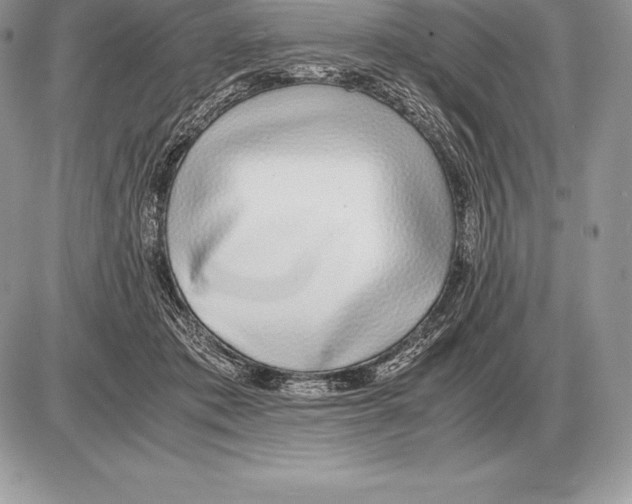 X0000085790413200704131900
