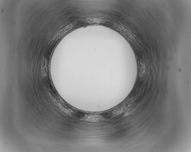 X0000085790414200704131900