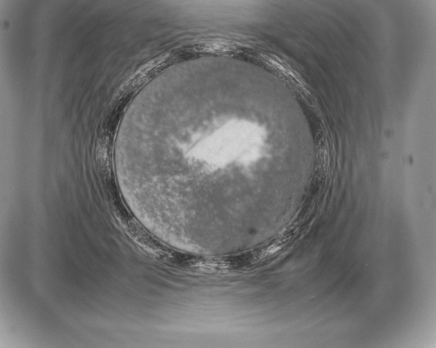 X0000085790415200704131859