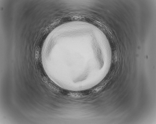 X0000085790417200704131859